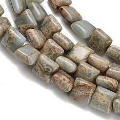 Natural Aqua Terra Jasper Beads Strands&nbsp;G-Z110-H01-8x8mm