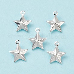 304 Stainless Steel Pendants&nbsp;STAS-I138-12S