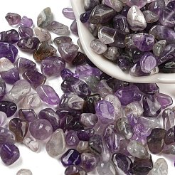 Natural Amethyst Chip Beads&nbsp;G-M364-12B