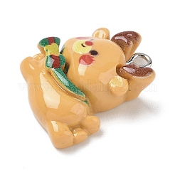 Christmas Theme Opaque Resin Pendants&nbsp;RESI-I344-02P-03
