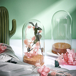 Glass Dome Cover&nbsp;AJEW-PH0004-19B