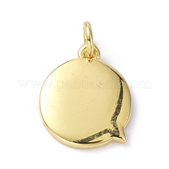 Eco-Friendly Brass Enamel Pendants&nbsp;KK-C220-04G
