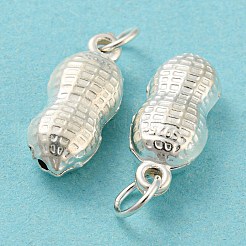 925 Sterling Silver Pendants&nbsp;STER-B002-12S