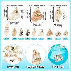18Pcs 9 Styles Electroplated Natural Shell Pendants&nbsp;BSHE-TA0001-35