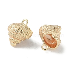 Brass Pendants&nbsp;KK-H482-04G
