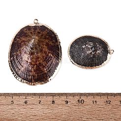 Electroplated Golden Brass Edged Natural Sea Shell Pendants&nbsp;SSHEL-Q101-01