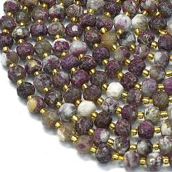 Natural Plum Blossom Tourmaline Beads Strands&nbsp;G-K389-E87-01