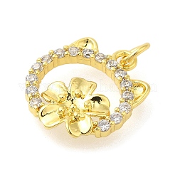 Rack Plating Brass Micro Pave Cubic Zirconia Charms&nbsp;KK-S396-70G