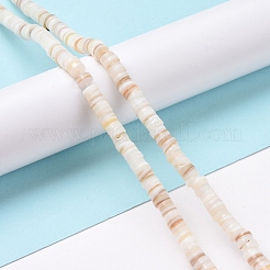 Natural Freshwater Shell Beads Strands&nbsp;X-SHEL-G011-09-A02