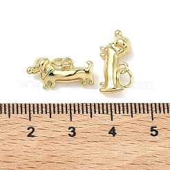 Brass Pendants&nbsp;KK-G555-01G-02