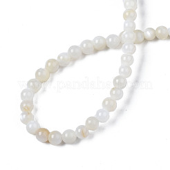 Natural Freshwater Shell Beads Strands&nbsp;BSHE-T009A-01A