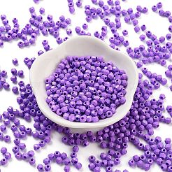 Baking Paint Glass Seed Beads&nbsp;SEED-A032-02T