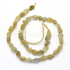 Natural Labradorite Beads Strands&nbsp;G-K202-11C