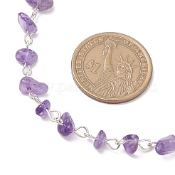 Natural Amethyst Chip Beaded Necklaces&nbsp;NJEW-JN05140-02