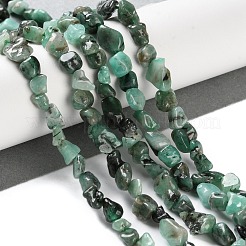 Natural Emerald Beads Strands&nbsp;G-P497-01C-49