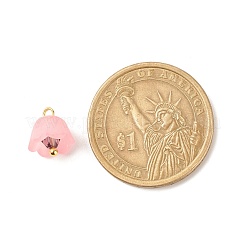 Transparent Acrylic Charms&nbsp;PALLOY-JF01603-02