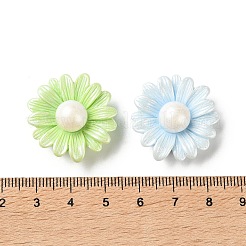 Resin Cabochons&nbsp;CRES-D323-04
