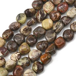 Natural Picasso Stone/Picasso Jasper Beads Strands&nbsp;G-P623-A05-02