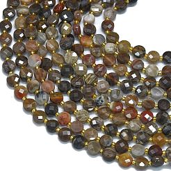 Natural Petrified Wood Beads Strands&nbsp;G-K389-B33-01