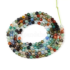 Natural Multi-Color Agate Beads Strands&nbsp;G-T143-02