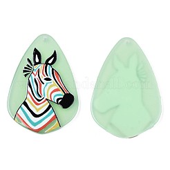 Translucent Cellulose Acetate(Resin) Pendants&nbsp;KY-T040-34B