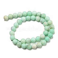 Grade A Natural Chrysoprase Beads Strands&nbsp;G-R494-A02-04