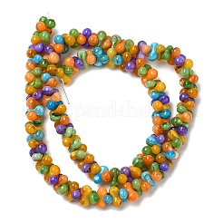 Natural Freshwater Shell Beads Strands&nbsp;SHEL-F007-03