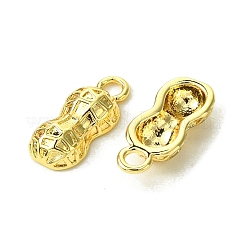 Brass Charms&nbsp;FIND-Z035-12G
