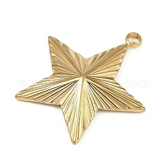 304 Stainless Steel Pendants&nbsp;STAS-B092-08C-G