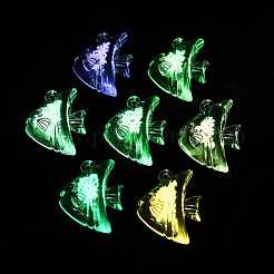 Transparent Luminous Acrylic Pendants&nbsp;TACR-Z002-01