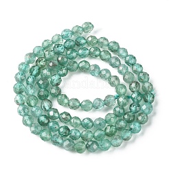 Natural Apatite Beads Strands&nbsp;G-F748-J01-02