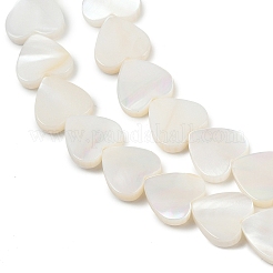 Natural Freshwater Shell Beads Strands&nbsp;SHEL-K010-04