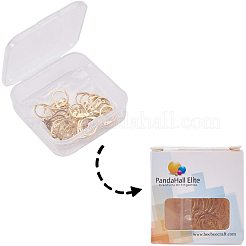 304 Stainless Steel Leverback Earring Findings&nbsp;STAS-PH0018-28G