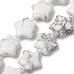 Natural Howlite Beads Strands&nbsp;G-K359-E20