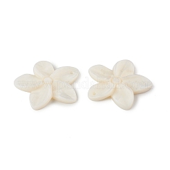 Freshwater Shell Pendants&nbsp;SHEL-T009-23