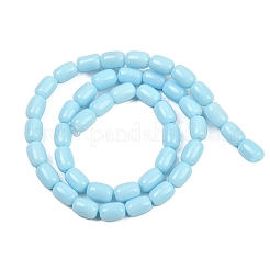 Opaque Glass Beads Strands&nbsp;GLAA-Z015-02E