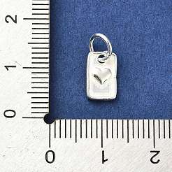 Sterling Silver Charms&nbsp;STER-E070-03D