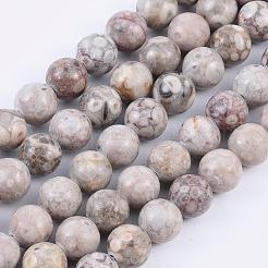 Natural Maifanite/Maifan Stone Beads Strands&nbsp;G-F353-8mm