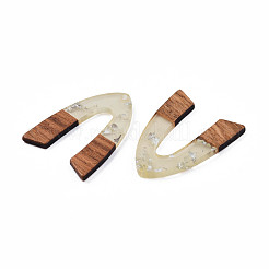 Transparent Resin & Walnut Wood Pendants&nbsp;RESI-N025-029-A02