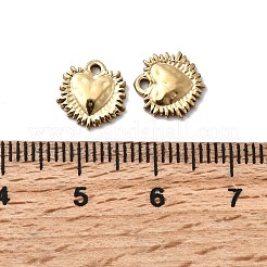 304 Stainless Steel Charms&nbsp;X-STAS-A127-02G