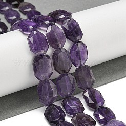 Natural Amethyst Beads Strands&nbsp;G-P544-B06-01
