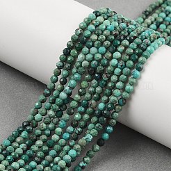 Natural Chrysocolla Beads Strands&nbsp;G-P514-A03-02-A