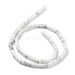 Natural Howlite Beads Strands&nbsp;G-K337-04