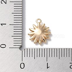 Glass Charms&nbsp;KK-F867-25G