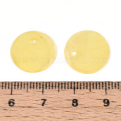 Spray Painted Natural Capiz Shell Disc Charms&nbsp;X1-BSHE-T014-02G