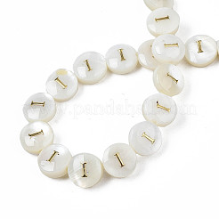 Natural Freshwater Shell Beads&nbsp;SHEL-S276-168I