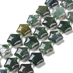 Natural Indian Agate Beads Strands&nbsp;G-NH0005-010
