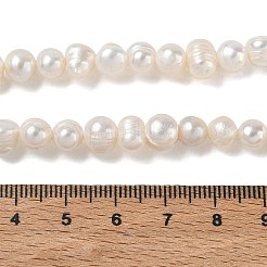 Natural Cultured Freshwater Pearl Beads Strands&nbsp;PA-CBAC463-17