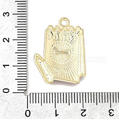 Medical Theme Alloy Enamel Pendants&nbsp;FIND-G090-02D-03