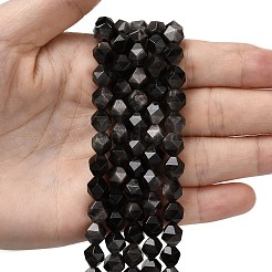 Natural Silver Obsidian Beads Strands&nbsp;G-Z119-A11-02